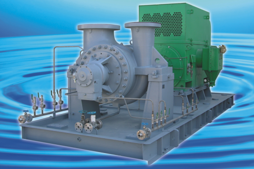 SM R Heavy Duty Petrochemical Process Pumps